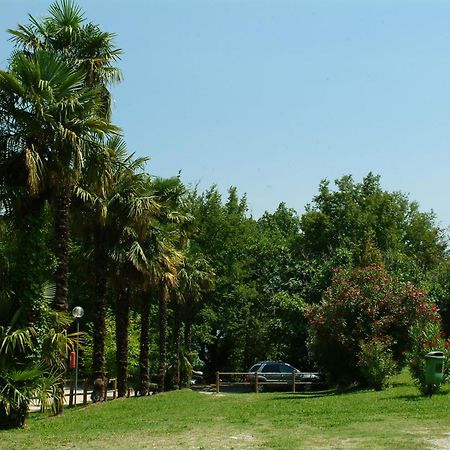 Camping Zocco Manerba del Garda Kültér fotó